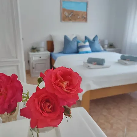 House Kapetanovic 3* Palit